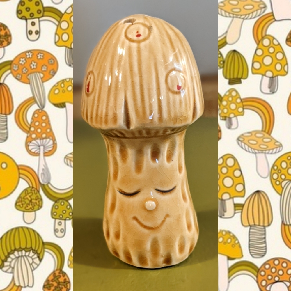 Unique 👀 Vintage Anthropomorphic Mushroom Salt Shaker